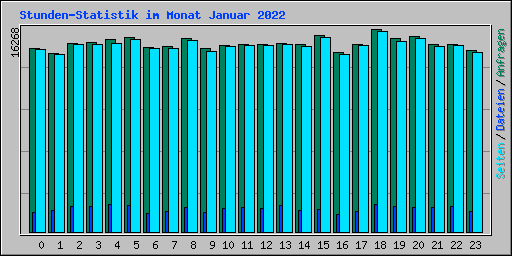 Stunden-Statistik im Monat Januar 2022