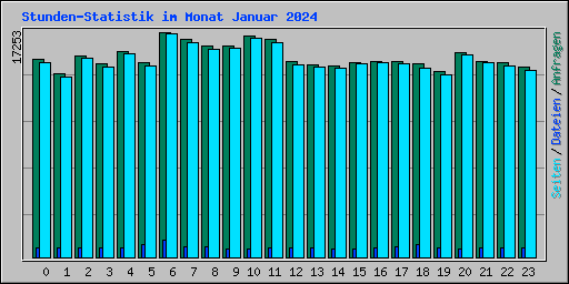 Stunden-Statistik im Monat Januar 2024