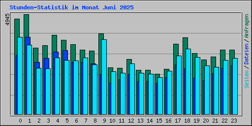 Stunden-Statistik im Monat Juni 2025
