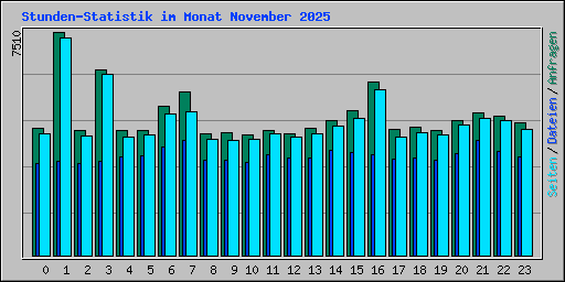 Stunden-Statistik im Monat November 2025