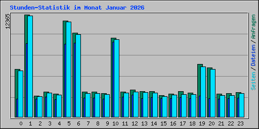 Stunden-Statistik im Monat Januar 2026
