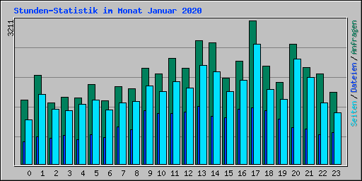 Stunden-Statistik im Monat Januar 2020