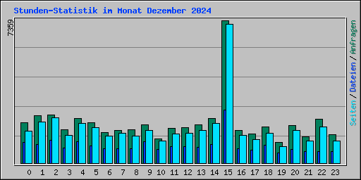 Stunden-Statistik im Monat Dezember 2024