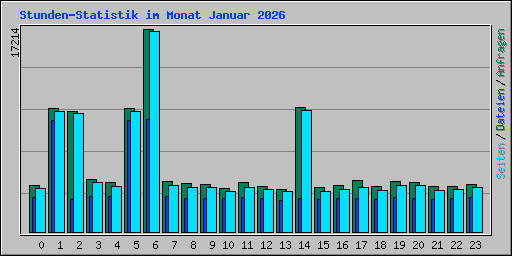 Stunden-Statistik im Monat Januar 2026