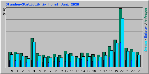 Stunden-Statistik im Monat Juni 2026